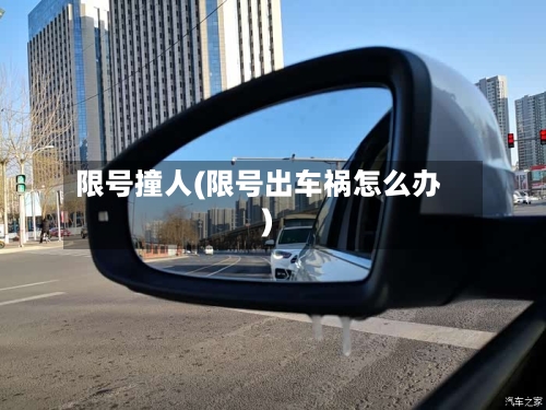 限号撞人(限号出车祸怎么办)-第3张图片