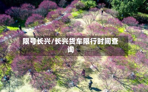 限号长兴/长兴货车限行时间查询-第2张图片