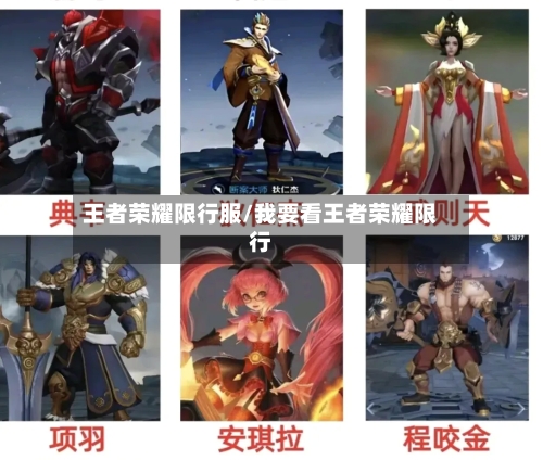 王者荣耀限行服/我要看王者荣耀限行