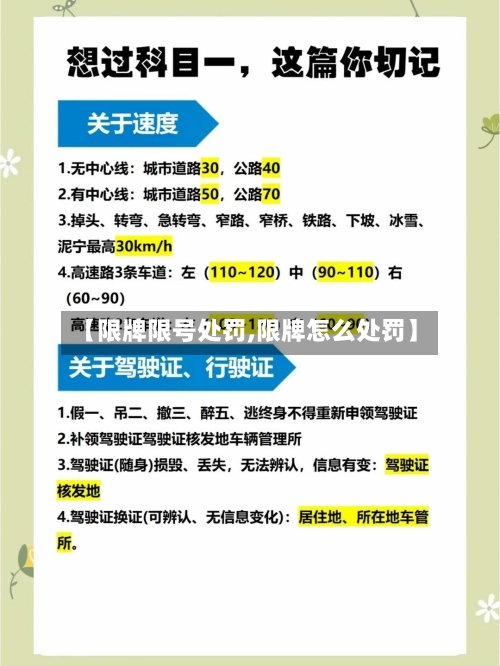 【限牌限号处罚,限牌怎么处罚】