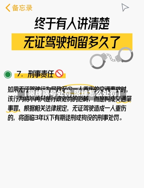 【限牌限号处罚,限牌怎么处罚】-第2张图片