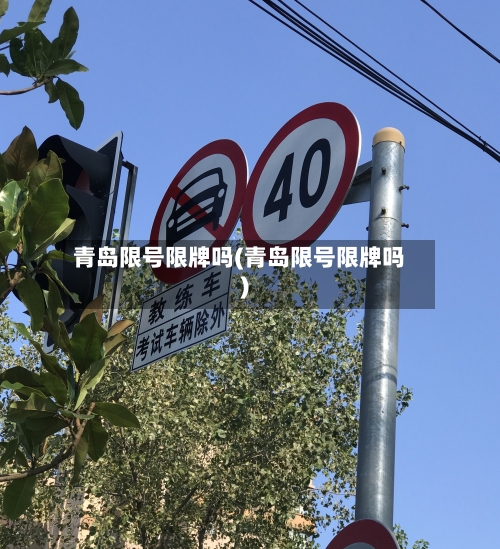 青岛限号限牌吗(青岛限号限牌吗)-第3张图片