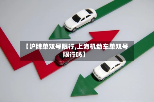【沪牌单双号限行,上海机动车单双号限行吗】-第2张图片