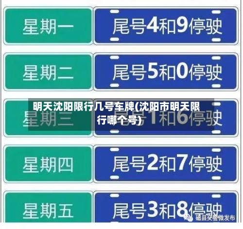 明天沈阳限行几号车牌(沈阳市明天限行哪个号)-第2张图片