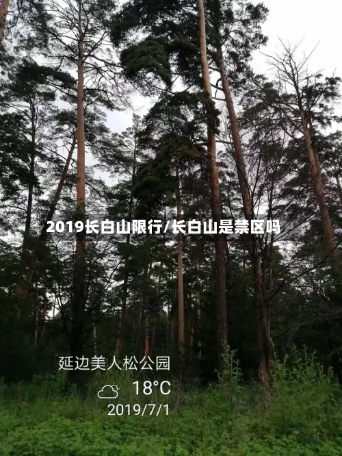 2019长白山限行/长白山是禁区吗-第2张图片