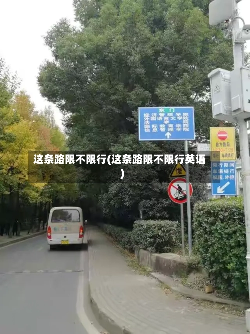 这条路限不限行(这条路限不限行英语)