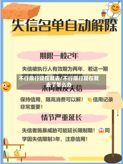 不行限行现在就去/不行限行现在就去了怎么办