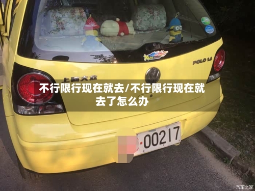 不行限行现在就去/不行限行现在就去了怎么办-第3张图片