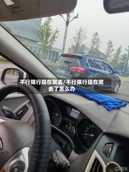 不行限行现在就去/不行限行现在就去了怎么办-第2张图片