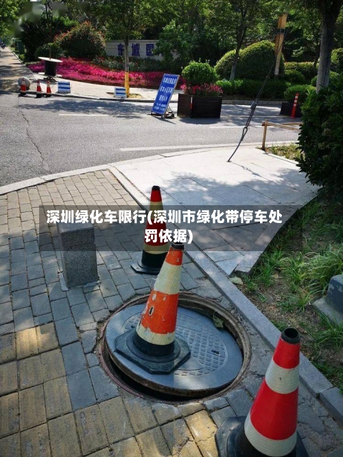 深圳绿化车限行(深圳市绿化带停车处罚依据)