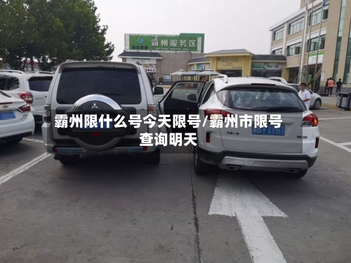 霸州限什么号今天限号/霸州市限号查询明天-第2张图片