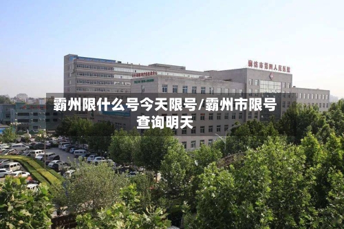 霸州限什么号今天限号/霸州市限号查询明天-第3张图片