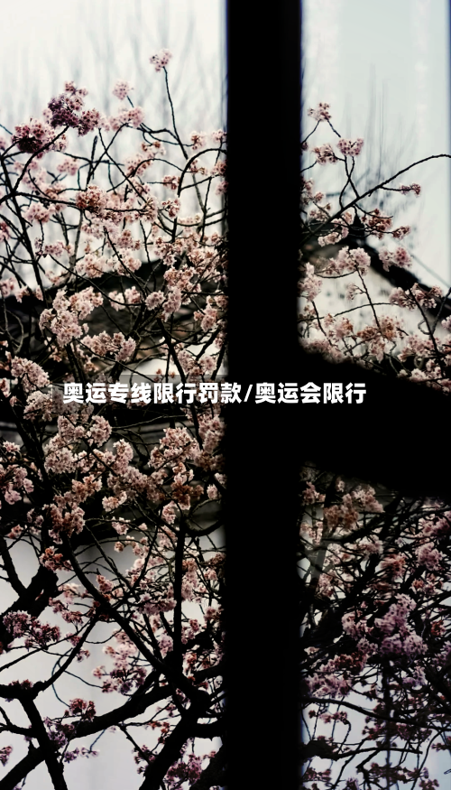 奥运专线限行罚款/奥运会限行