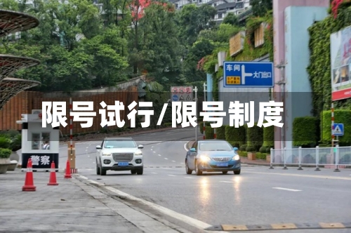 限号试行/限号制度-第2张图片