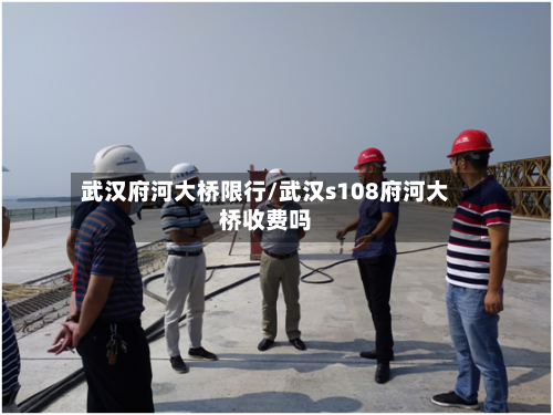 武汉府河大桥限行/武汉s108府河大桥收费吗