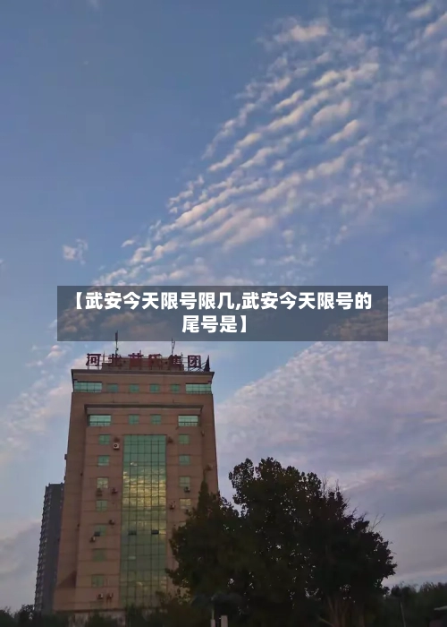 【武安今天限号限几,武安今天限号的尾号是】-第3张图片