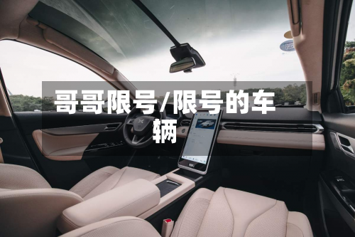 哥哥限号/限号的车辆