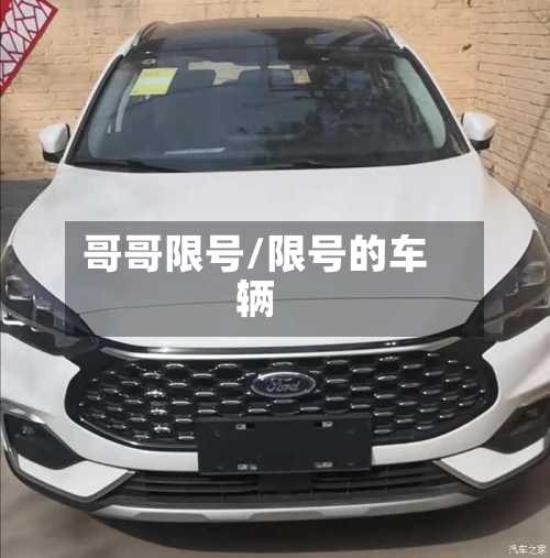哥哥限号/限号的车辆-第2张图片