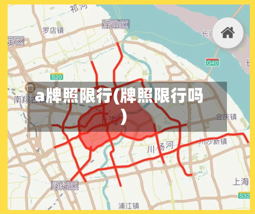 a牌照限行(牌照限行吗)