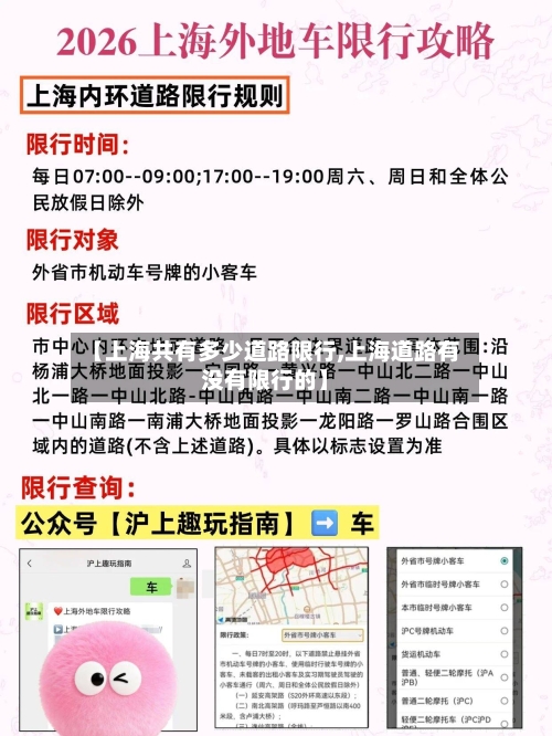 【上海共有多少道路限行,上海道路有没有限行的】