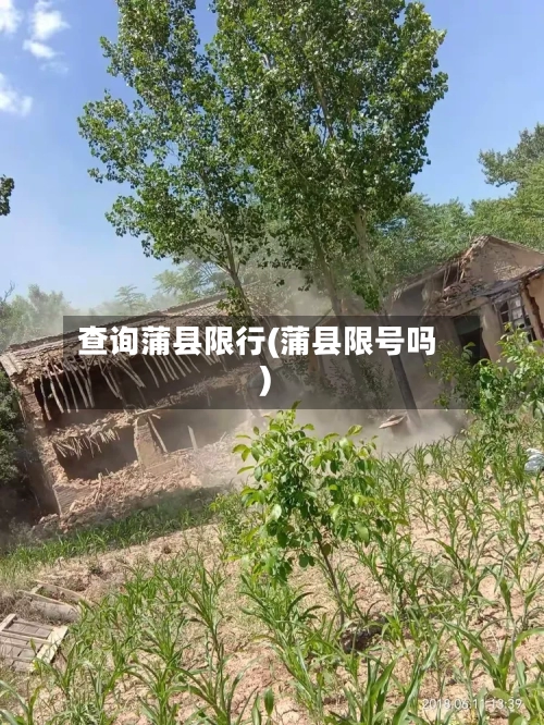 查询蒲县限行(蒲县限号吗)-第3张图片