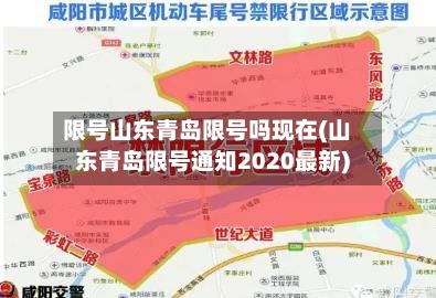 限号山东青岛限号吗现在(山东青岛限号通知2020最新)