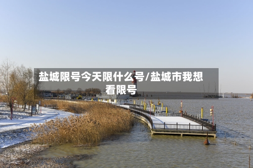 盐城限号今天限什么号/盐城市我想看限号-第2张图片