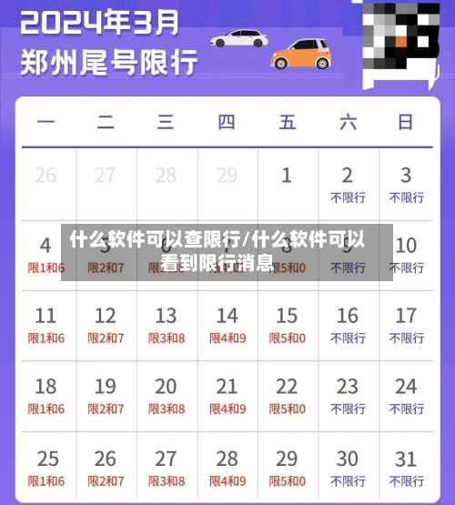 什么软件可以查限行/什么软件可以看到限行消息-第3张图片