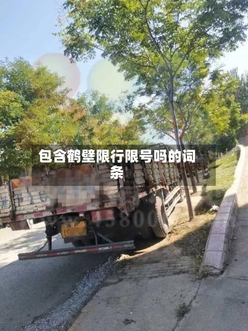 包含鹤壁限行限号吗的词条