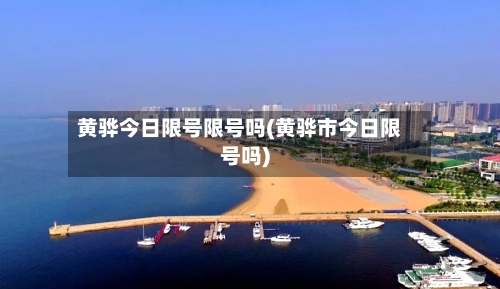 黄骅今日限号限号吗(黄骅市今日限号吗)-第3张图片