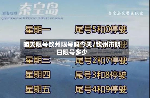 明天限号钦州限号吗今天/钦州市明日限号多少