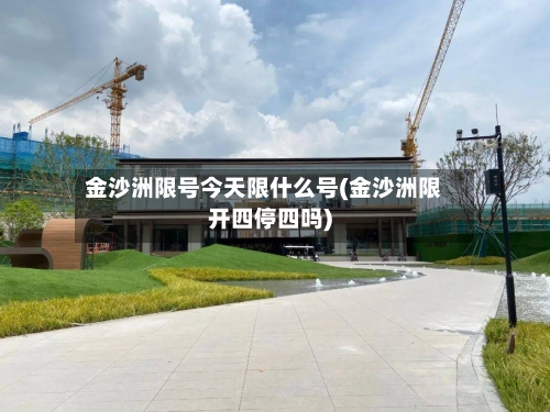 金沙洲限号今天限什么号(金沙洲限开四停四吗)