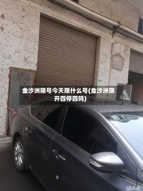 金沙洲限号今天限什么号(金沙洲限开四停四吗)-第2张图片