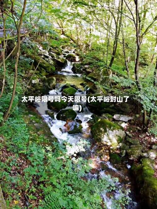 太平峪限号吗今天限号(太平峪封山了嘛)-第3张图片