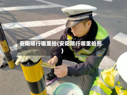 安阳限行哪里拍(安阳限行哪里拍照)-第3张图片