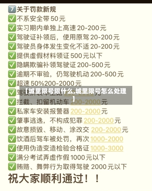 【城里限号限什么,城里限号怎么处理】