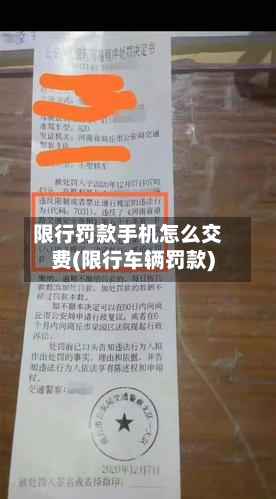 限行罚款手机怎么交费(限行车辆罚款)-第2张图片