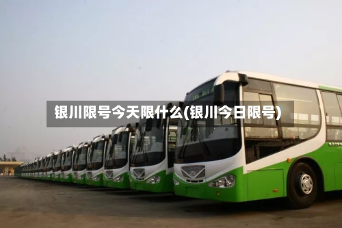 银川限号今天限什么(银川今日限号)-第2张图片
