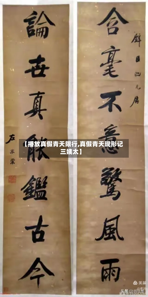【播放真假青天限行,真假青天现形记三姨太】-第2张图片