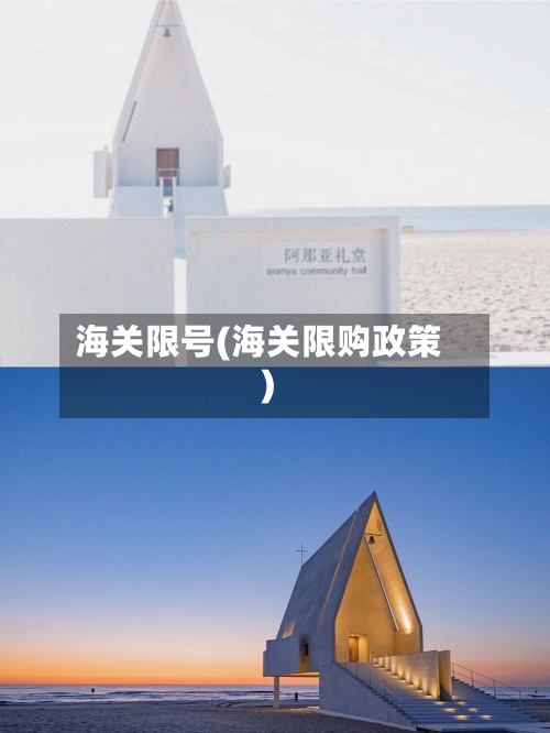 海关限号(海关限购政策)-第2张图片
