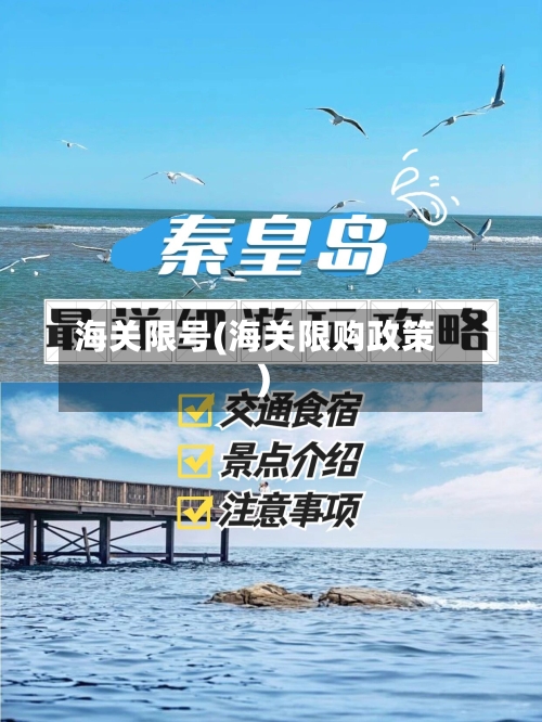 海关限号(海关限购政策)
