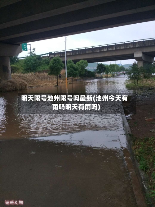 明天限号池州限号吗最新(池州今天有雨吗明天有雨吗)-第2张图片