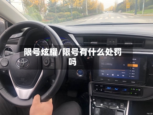 限号炫耀/限号有什么处罚吗