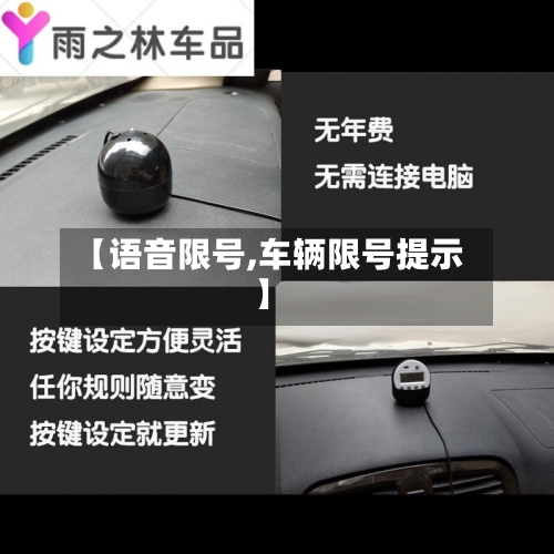 【语音限号,车辆限号提示】-第2张图片