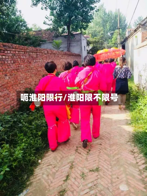 呃淮阳限行/淮阳限不限号
