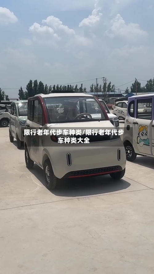 限行老年代步车种类/限行老年代步车种类大全