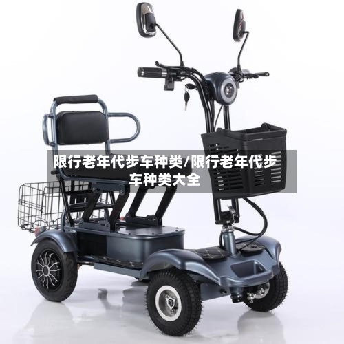 限行老年代步车种类/限行老年代步车种类大全-第3张图片