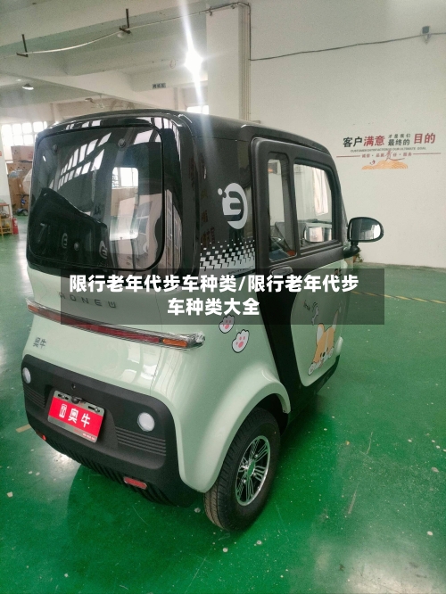 限行老年代步车种类/限行老年代步车种类大全-第2张图片