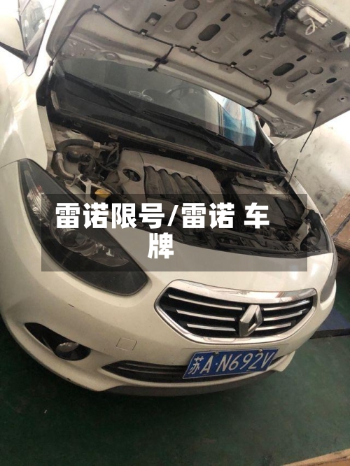 雷诺限号/雷诺 车牌-第2张图片