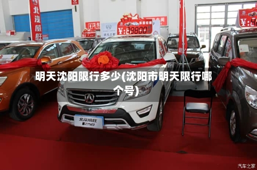 明天沈阳限行多少(沈阳市明天限行哪个号)-第2张图片